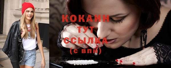 метадон Елизово