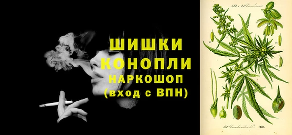 метадон Елизово