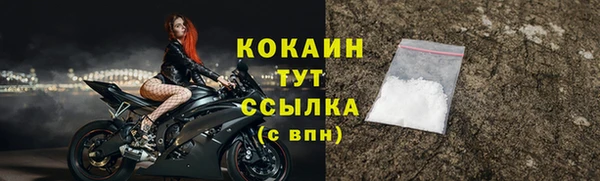 метадон Елизово