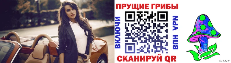 Купить где  Майский  Галлюциногенные грибы Magic Shrooms 